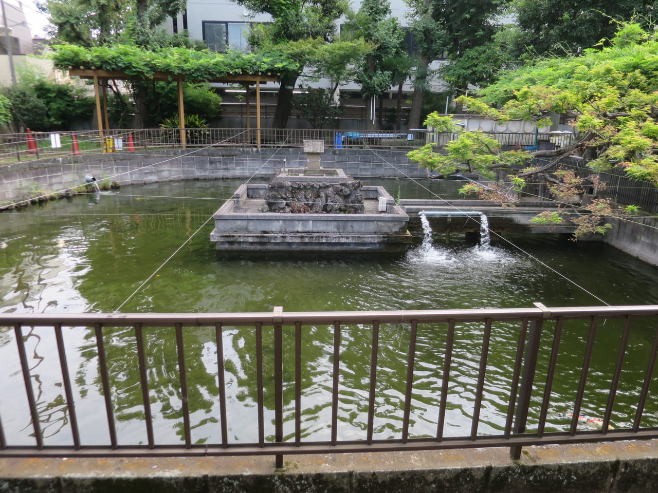 鮫洲八幡神社の池