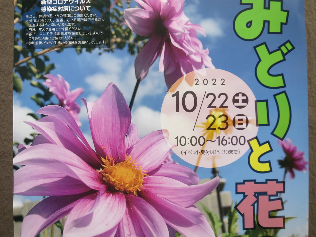 みどりと花のフェスティバル東品川海上公園