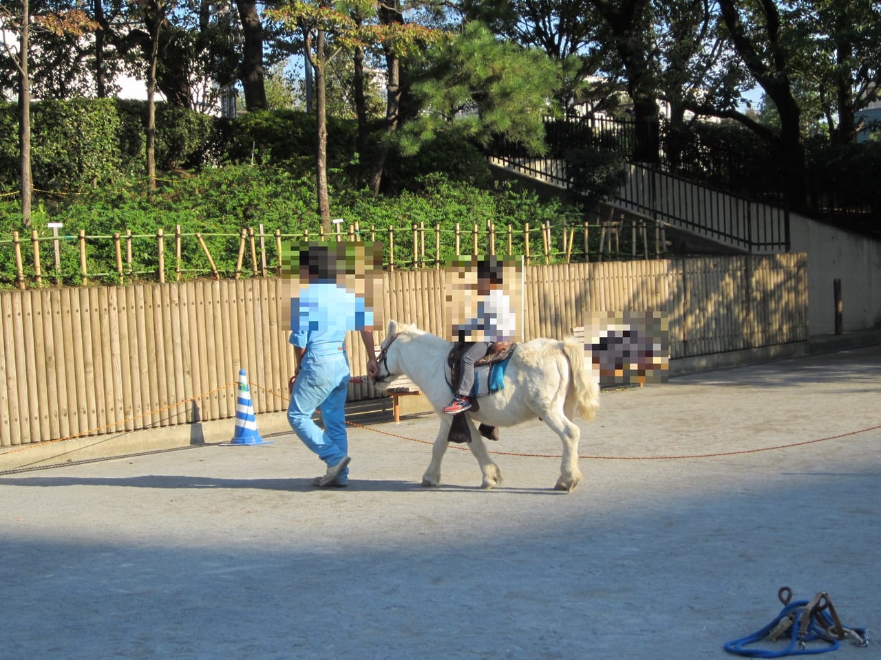 西大井広場公園のふれあい動物園ポニー乗馬