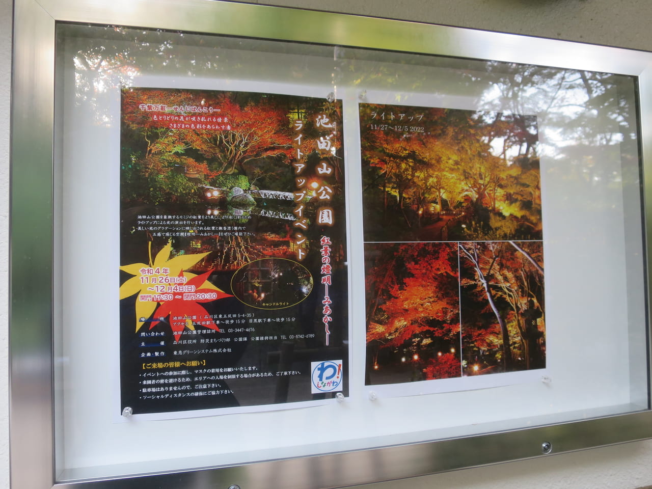 池田山公園紅葉ライトアップイベント