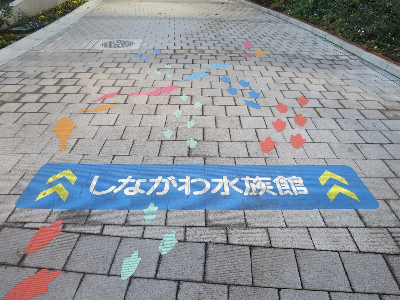 しながわ水族館