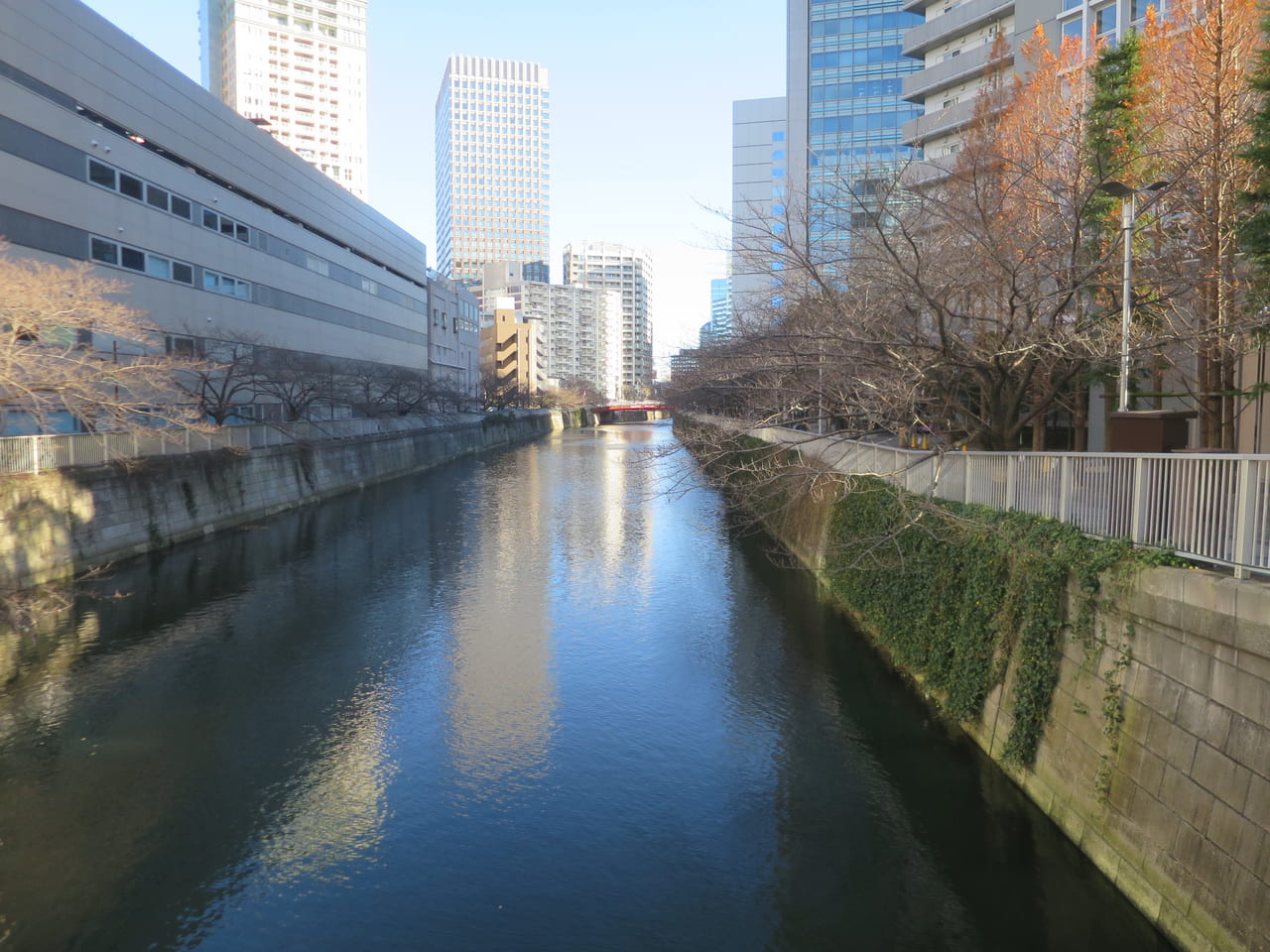 目黒川