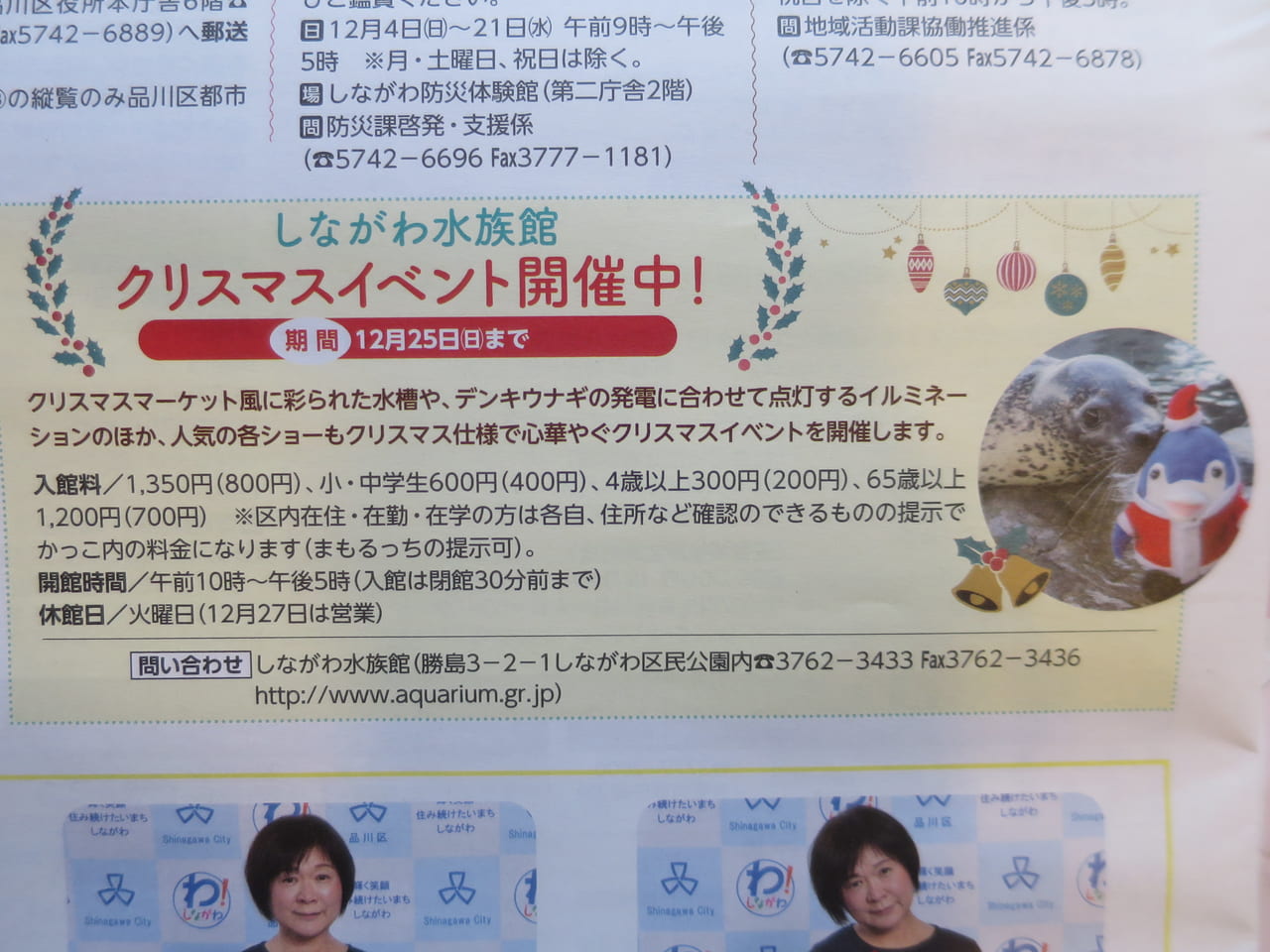 しながわ水族館クリスマスイベント