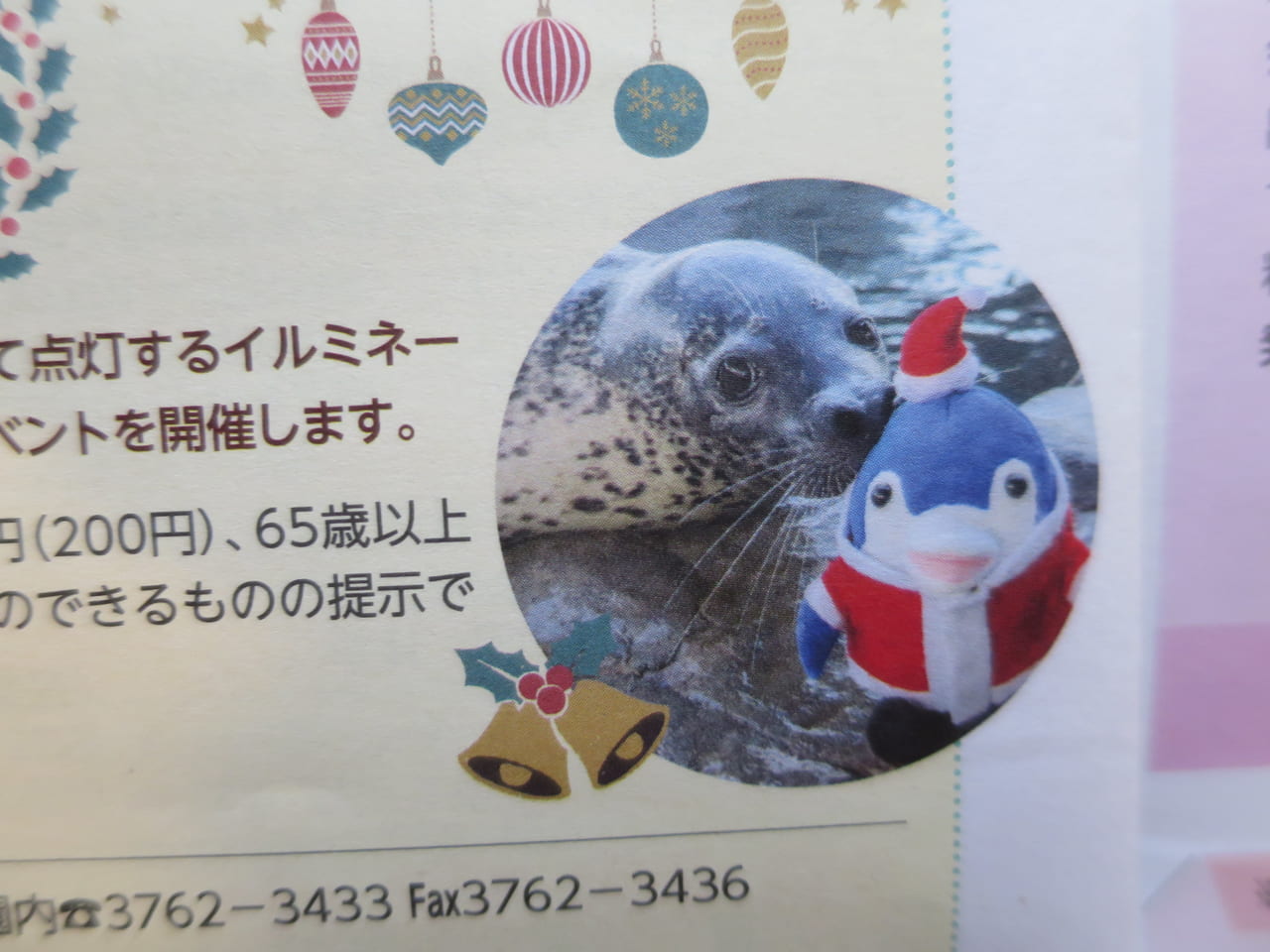 しながわ水族館クリスマスイベント