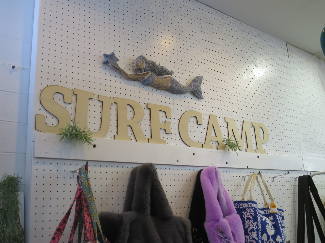 武蔵小山SURF CAMP
