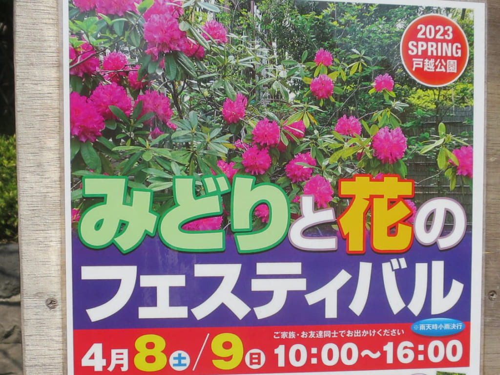 みどりと花のフェスティバル2023年春戸越公園