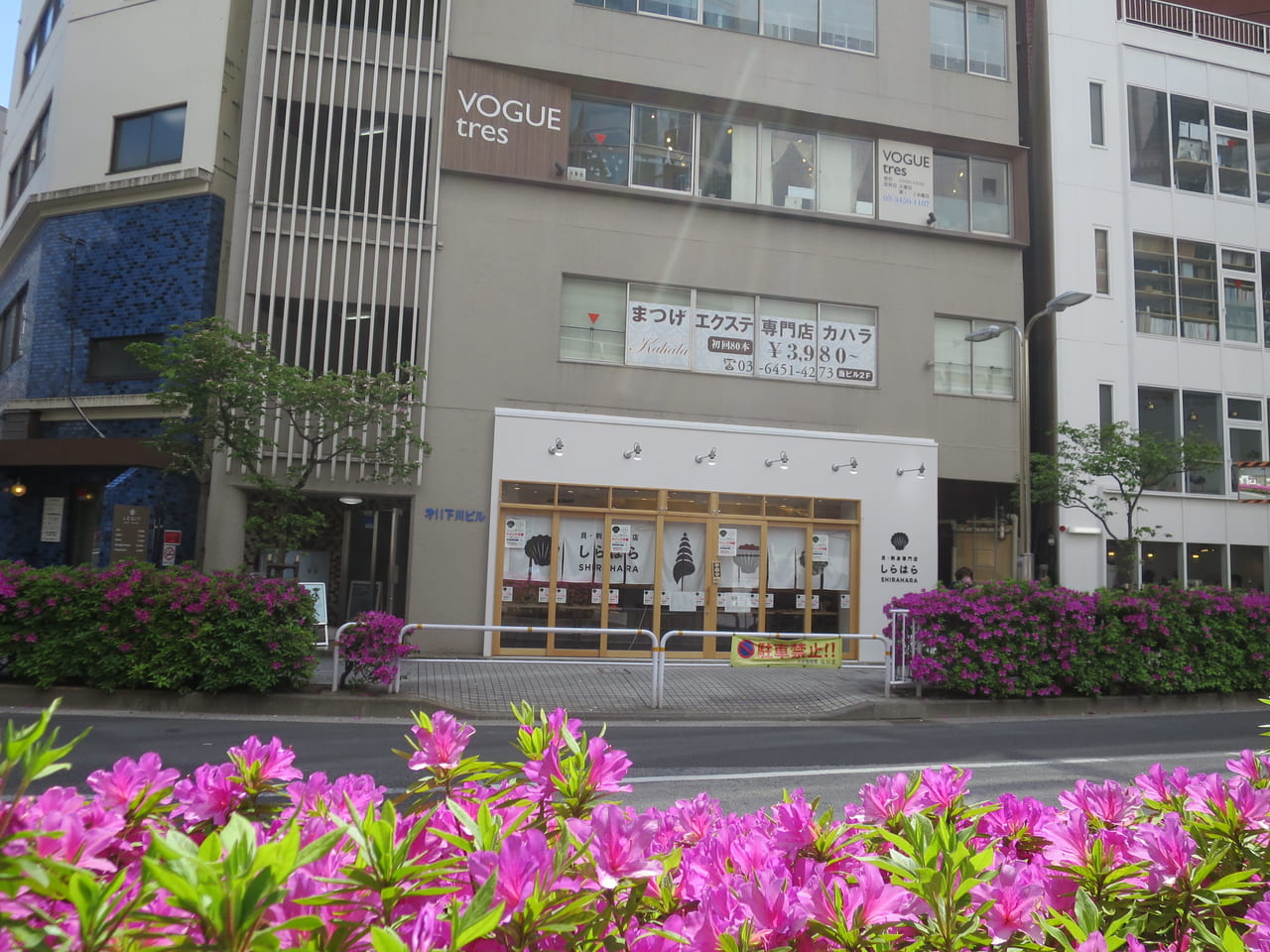 貝・刺身専門店「しらはら」大井町店