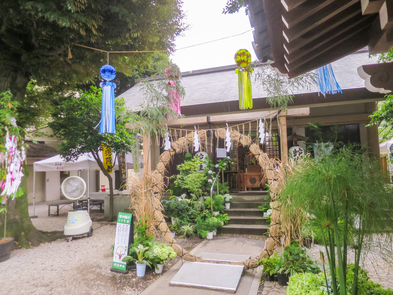 蛇窪神社2023年7月