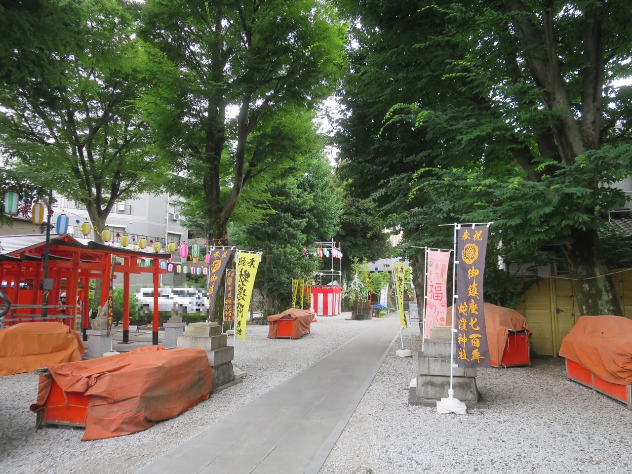 蛇窪神社2023年6月