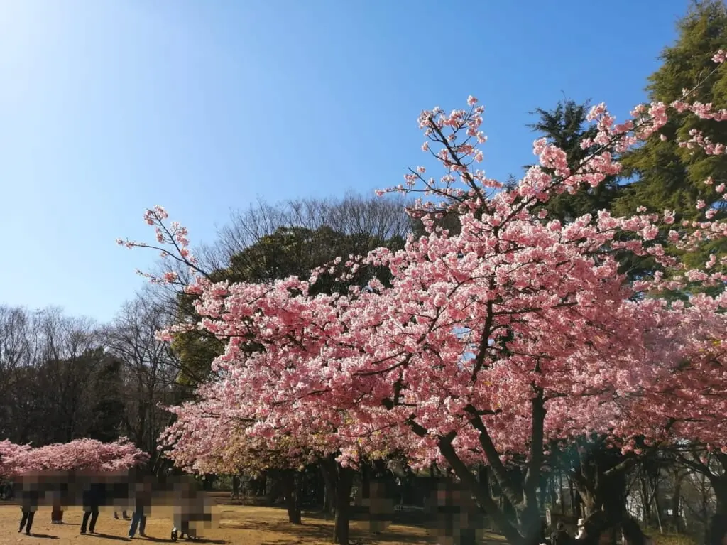 林試の森公園