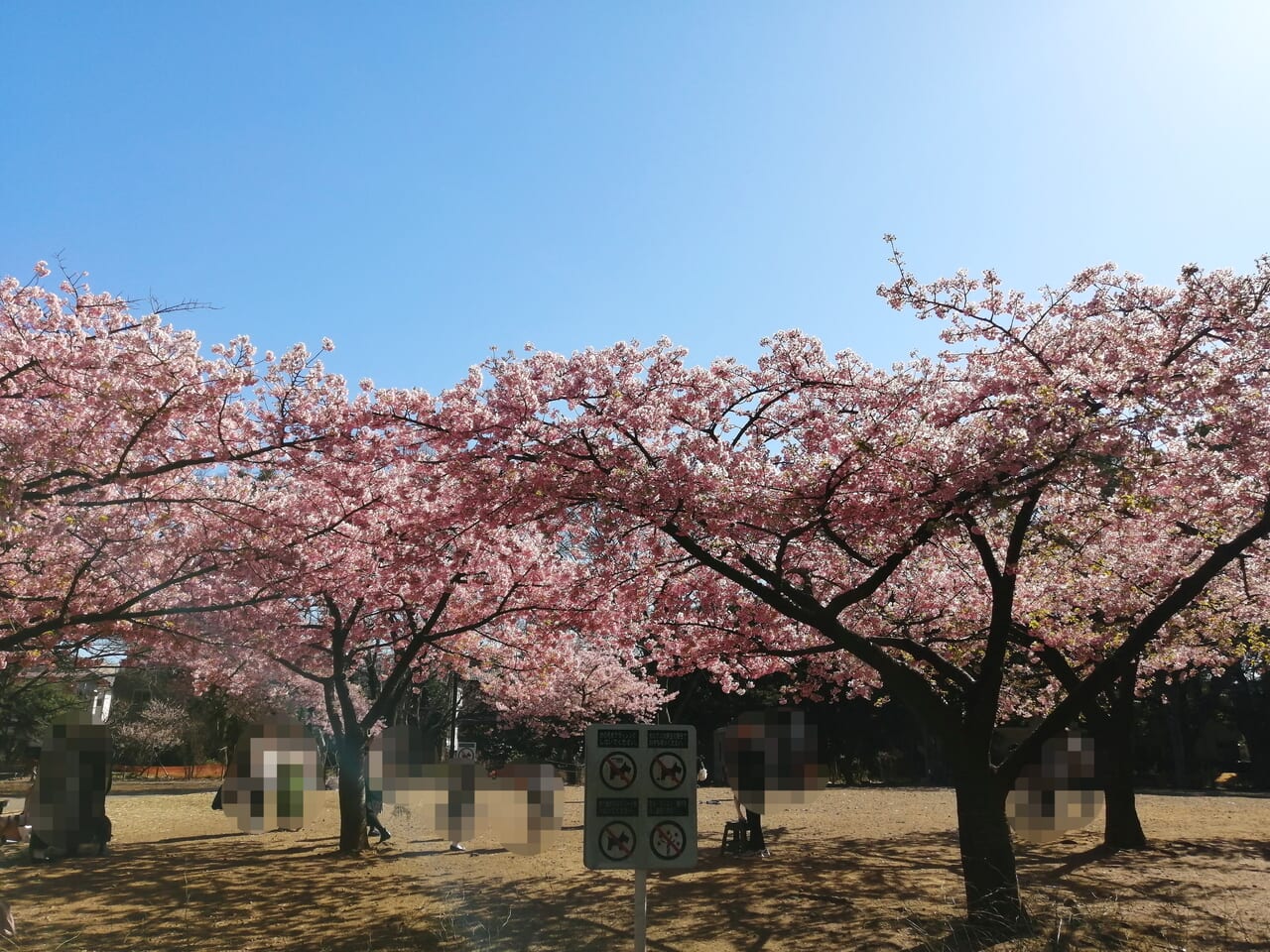 林試の森公園