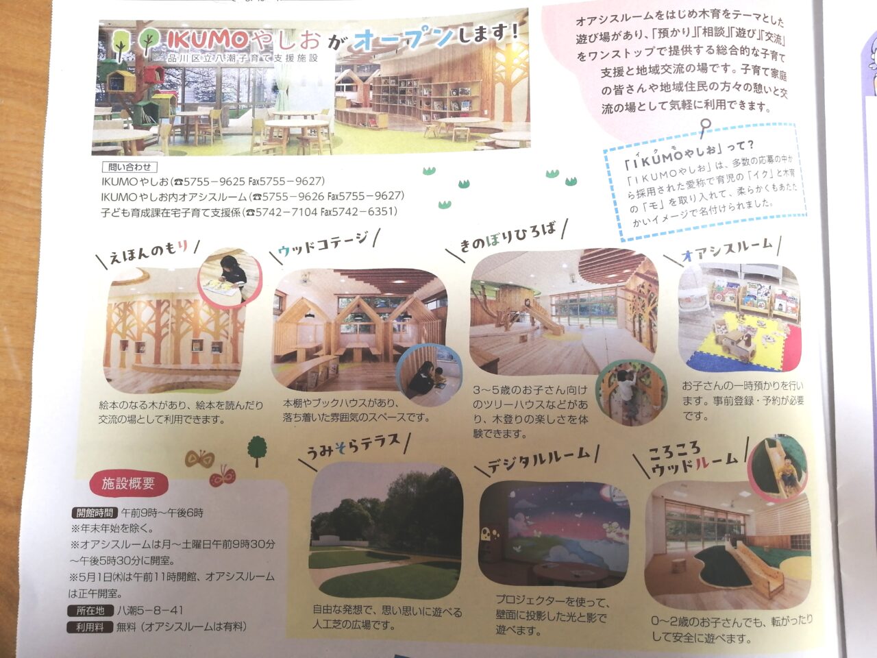 IKUMOやしお