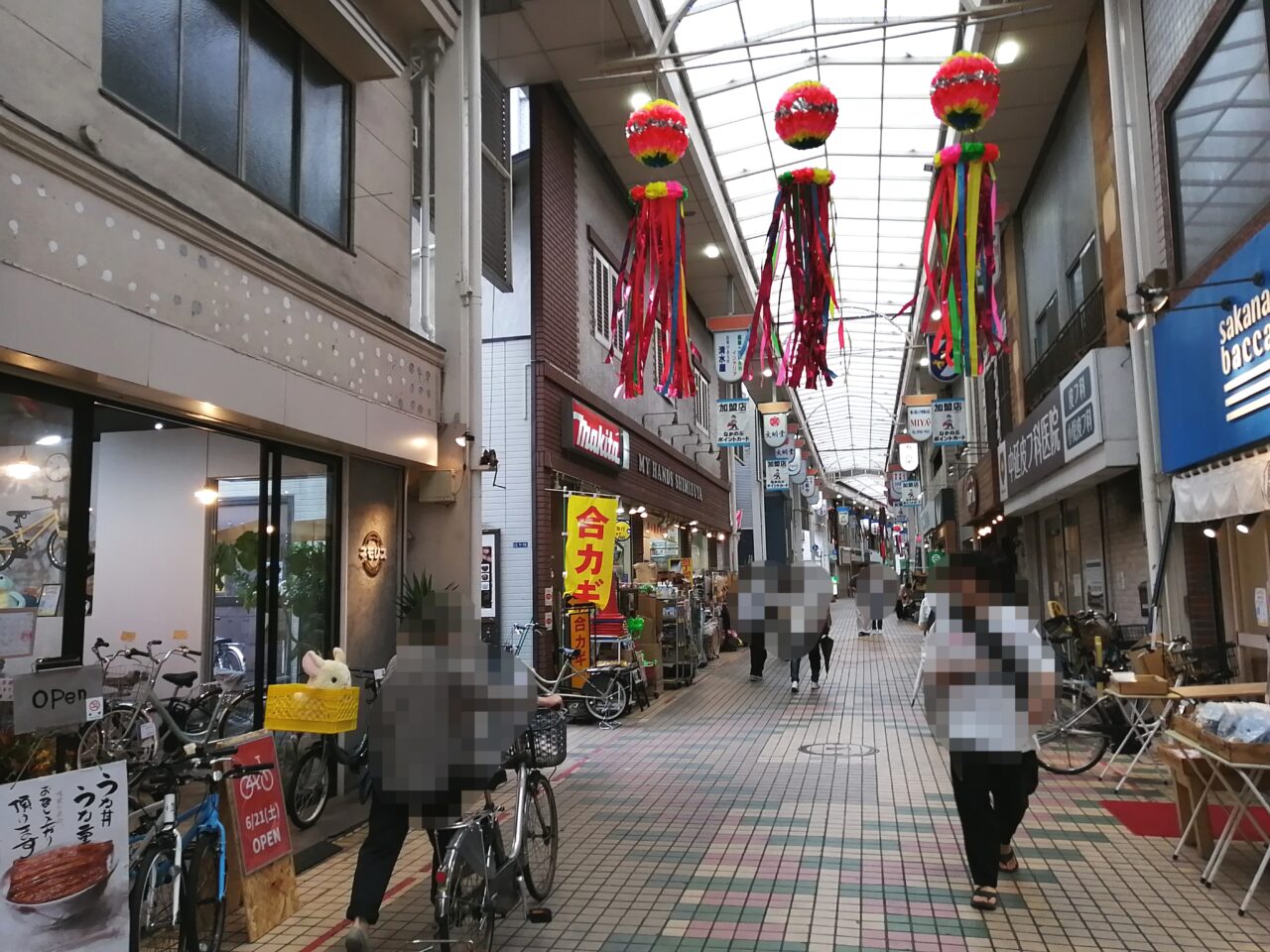 ネモリス