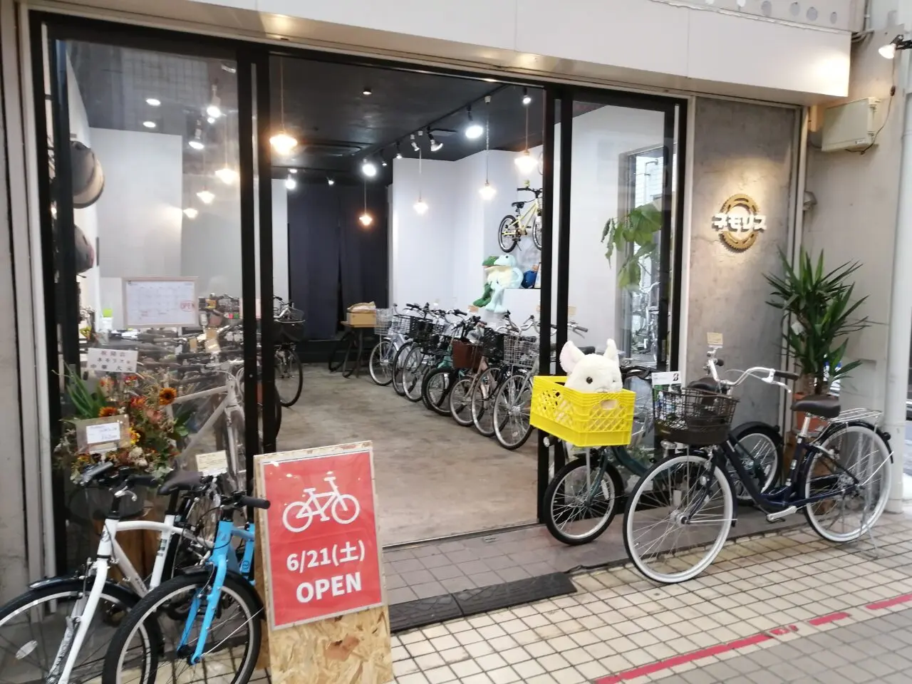 ネモリス