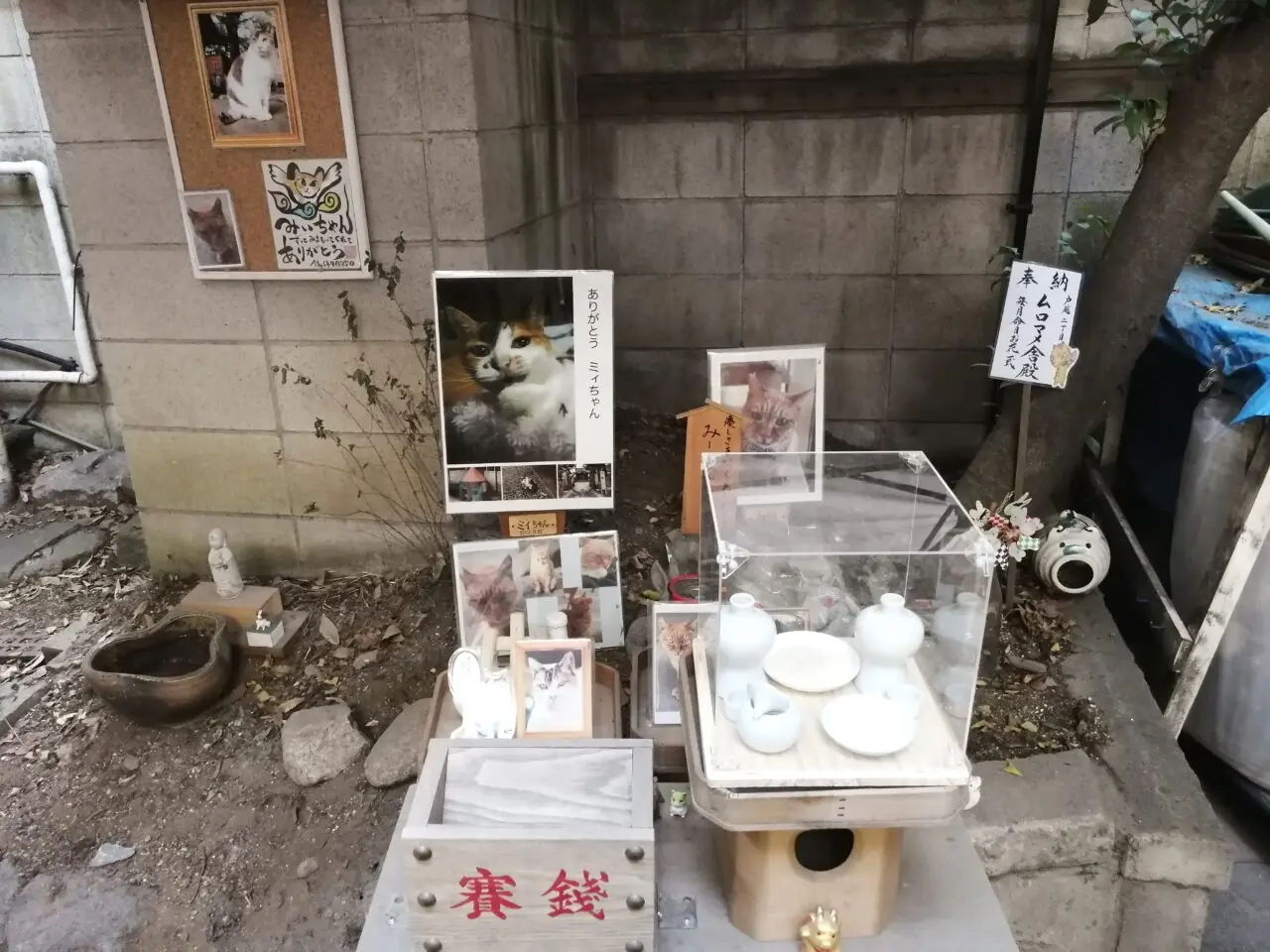 ヴェルデミッレニオ