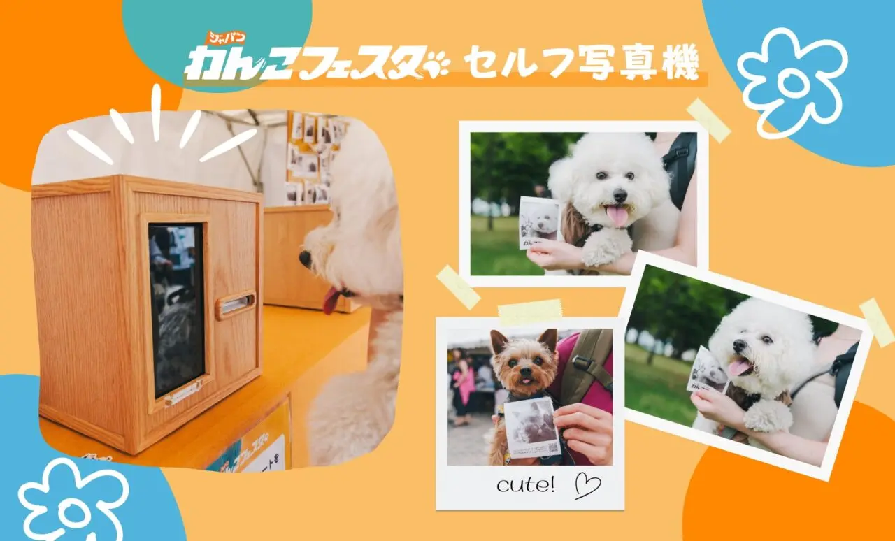 ジャパンわんこフェスタ2025 秋 in お台場