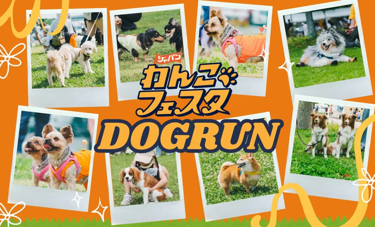 ジャパンわんこフェスタ2025 秋 in お台場