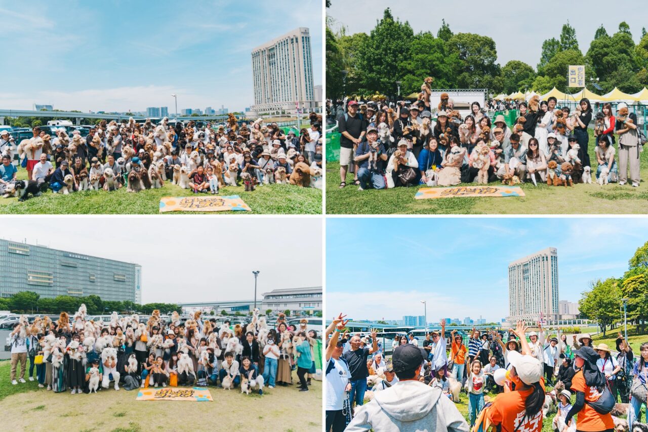 ジャパンわんこフェスタ2025 秋 in お台場