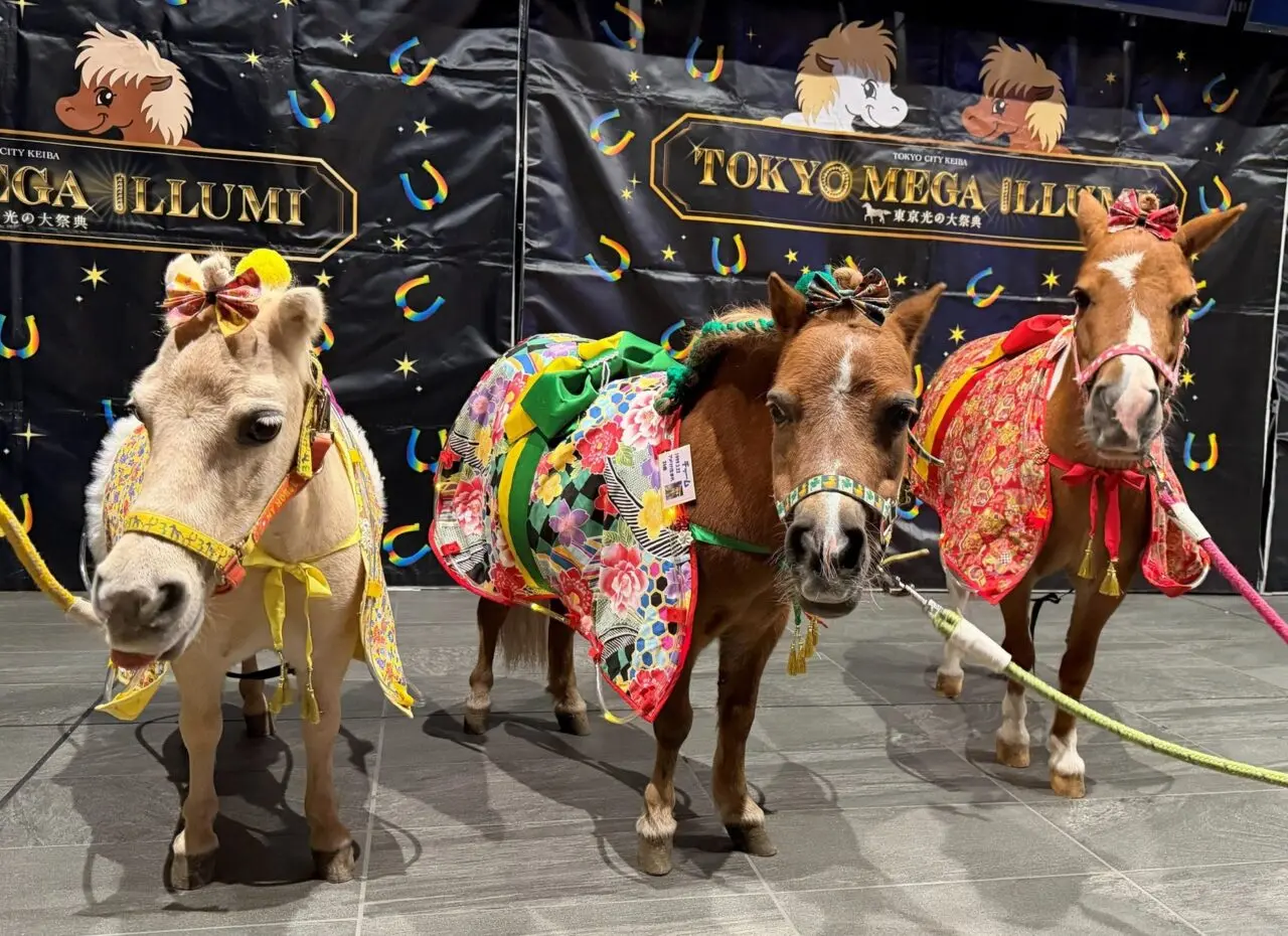 午(うま)年MEGA新春イベント