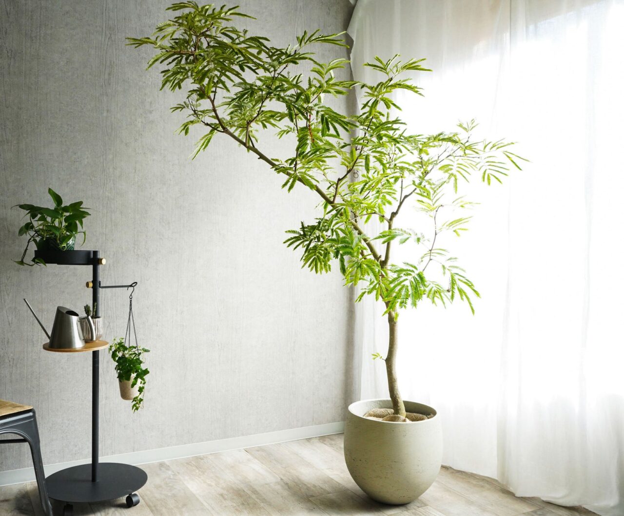 青山フラワーマーケット 大井町トラックス店